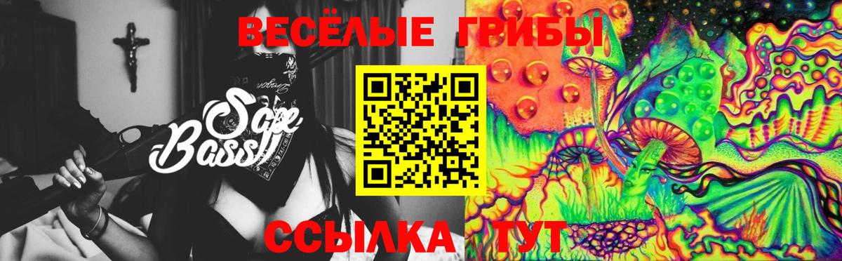 Галлюциногенные грибы Psilocybine cubensis  Вход с VPN  Гуково 